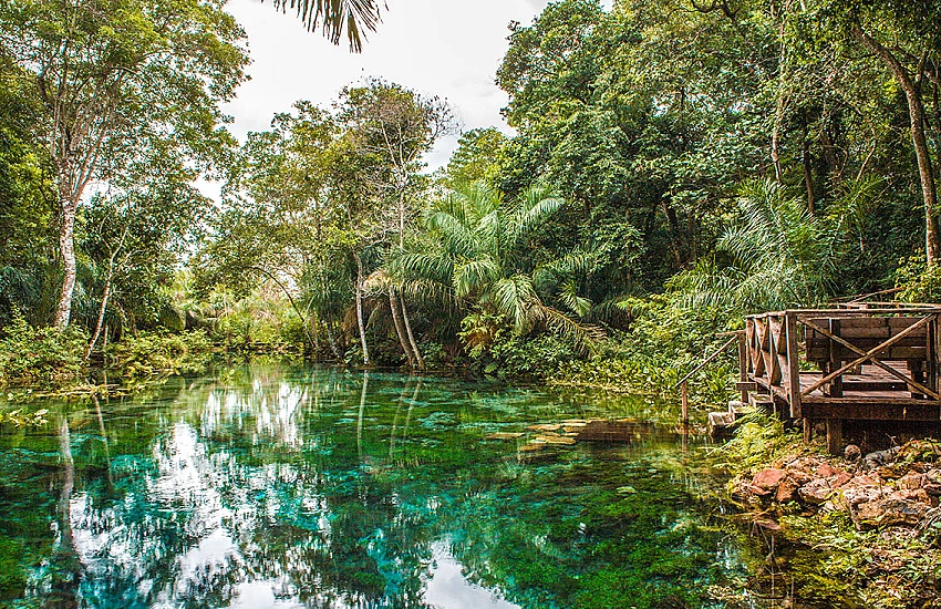 Discover Bonito: Brazil's Hidden Paradise Of Ecotourism